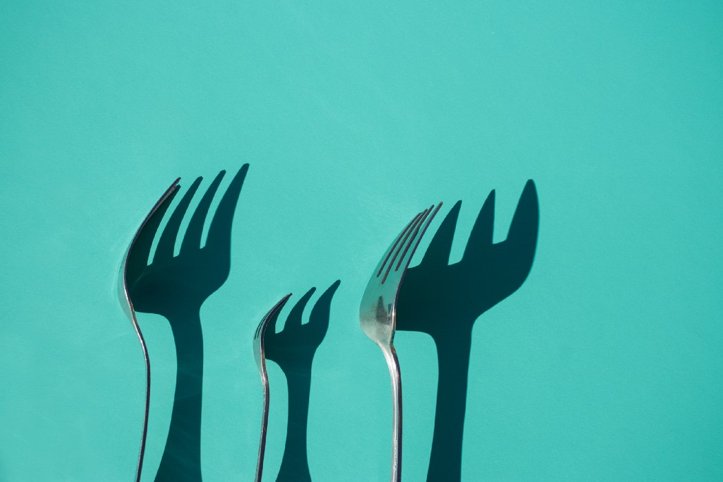 All You Need to Know About Hard Forks