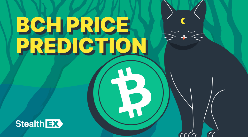 Bitcoin Cash Price Prediction: Will BCH Reach $1000