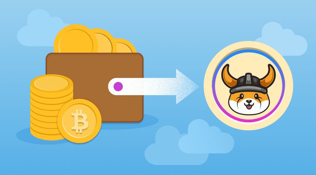Where To Buy Floki Coin? Article by StealthEX