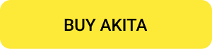 How to Buy Akita Inu Coin?