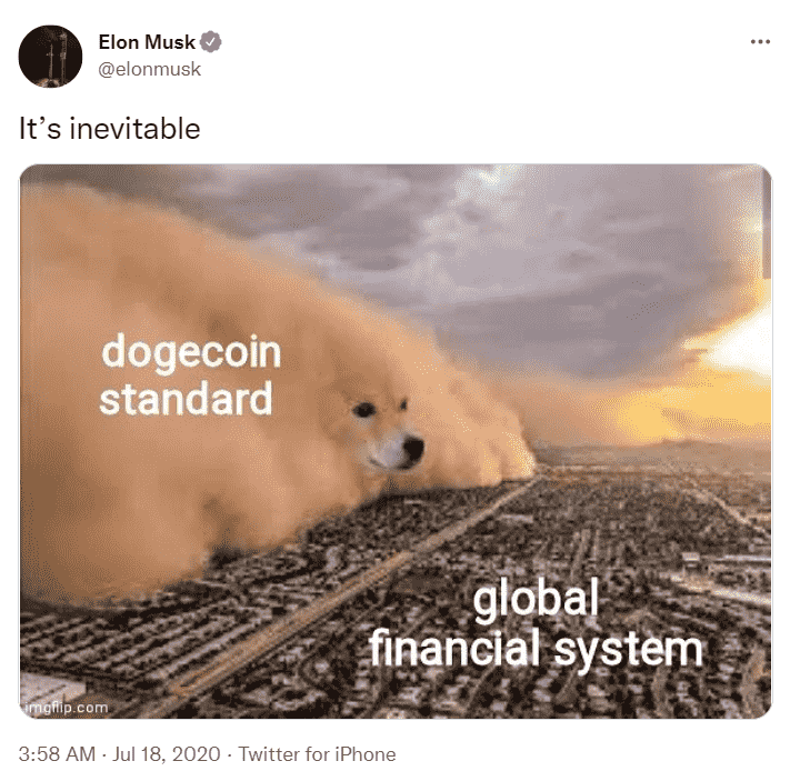 Elon Musk Doge Financial