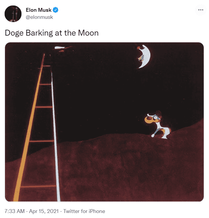 Elon Musk DOGE twitter