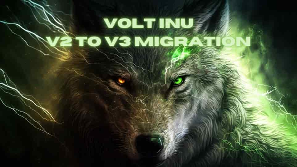 Volt Inu V3 migration