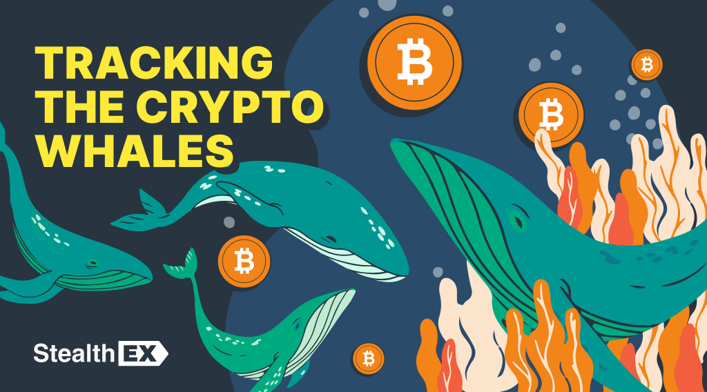 Crypto Whale Activity Reveals Institutional Investors Are Stocking Up on Bitcoin