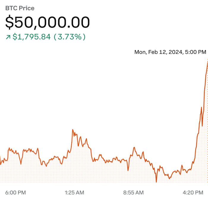 Bitcoin Hits $50,000 in February 2024