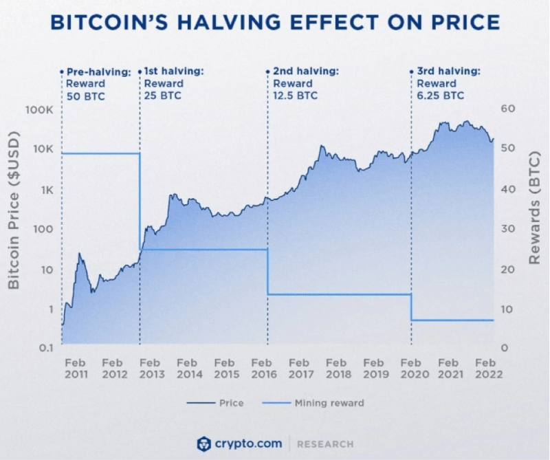 Bitcoin’s Price Tends to Increase Post-Halving