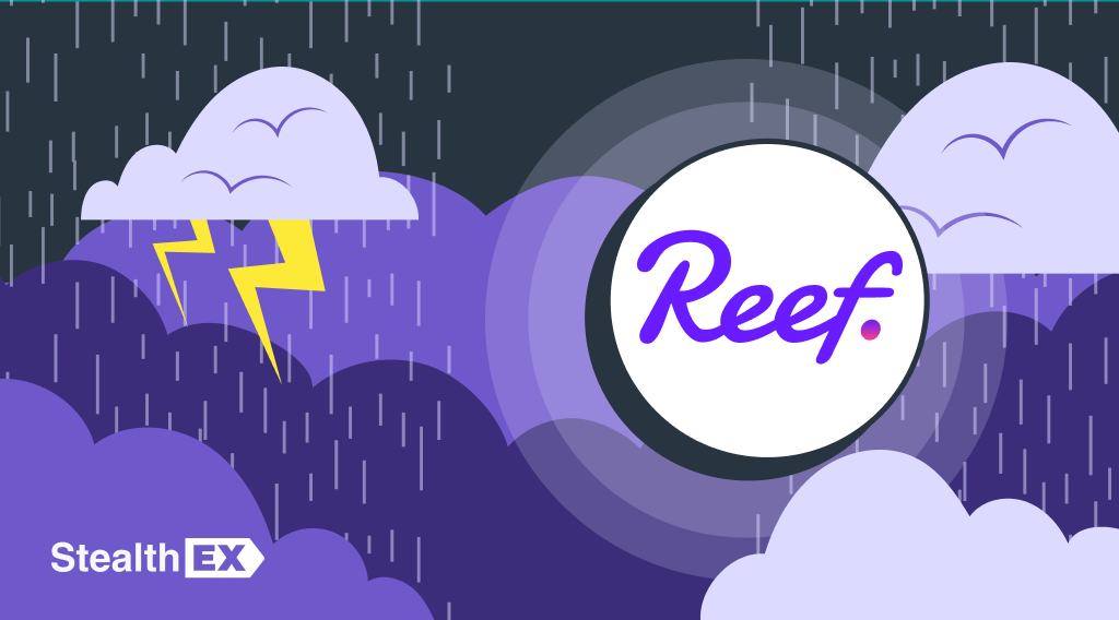 Reef Crypto's Amazing Rise: Doubling in Value and REEF Price Prediction